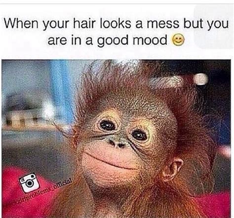 funny mood memes.